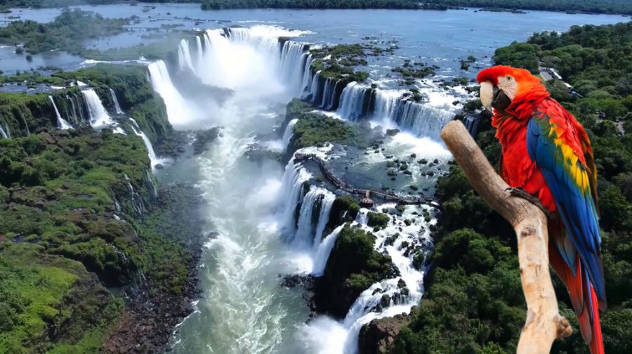 que hacer en foz de iguazu, Foz do Iguaçu, o que fazer em Foz do Iguaçu, cataratas del iguazu, iguazu, como llegar a iguazu clima en foz de iguazu, vacaciones en familia, de fiesta en america